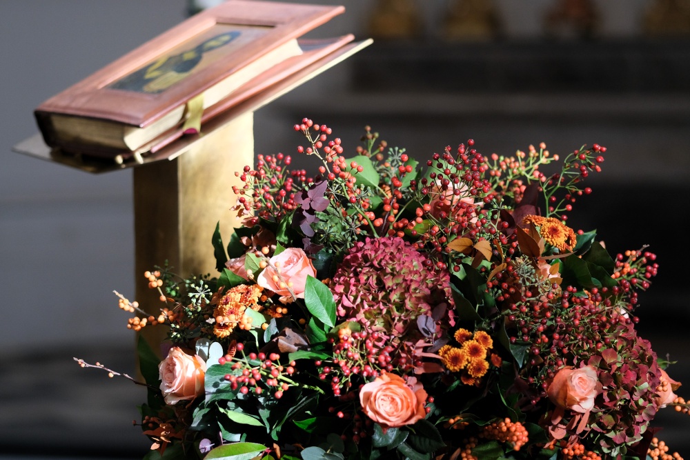 Vlierbeek in de steigers: de voortgang in beeld